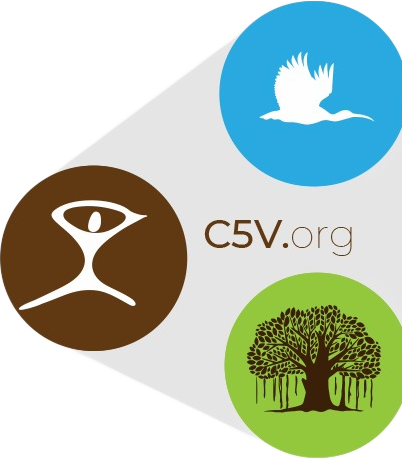 c5v.org Logo